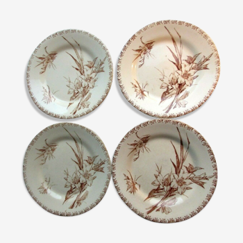 4 GIEN dessert plates, glaïeul style, sepia colour