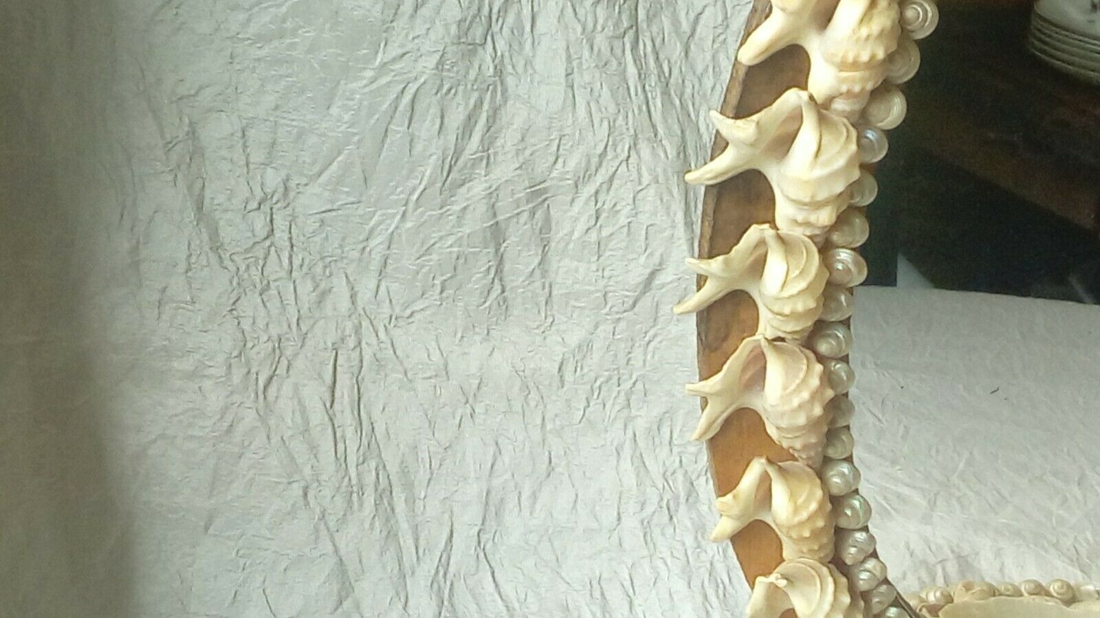 Mirror to be placed in wood and shell