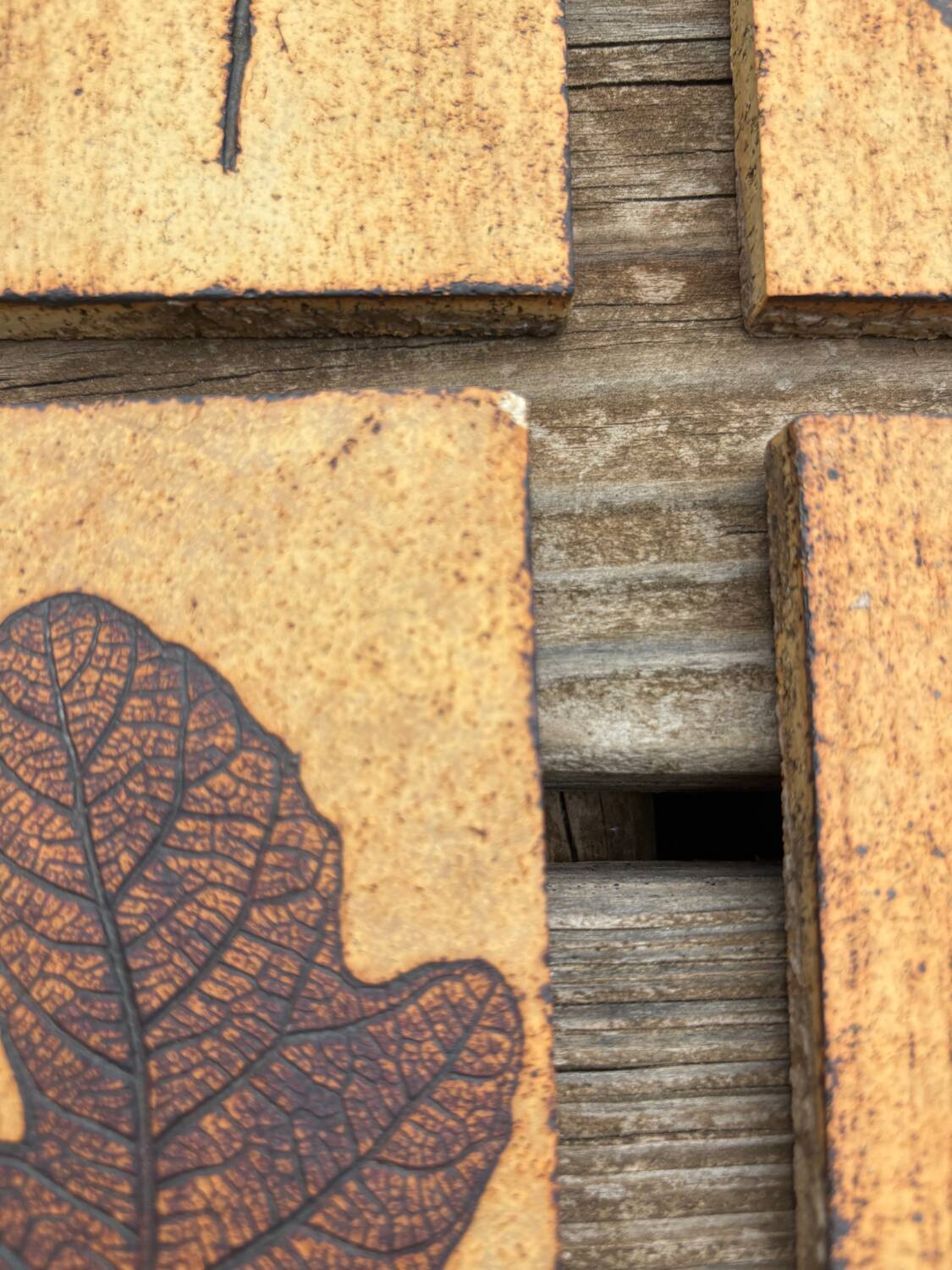 Set of 52 Vallauris herbarium tiles signed Capron