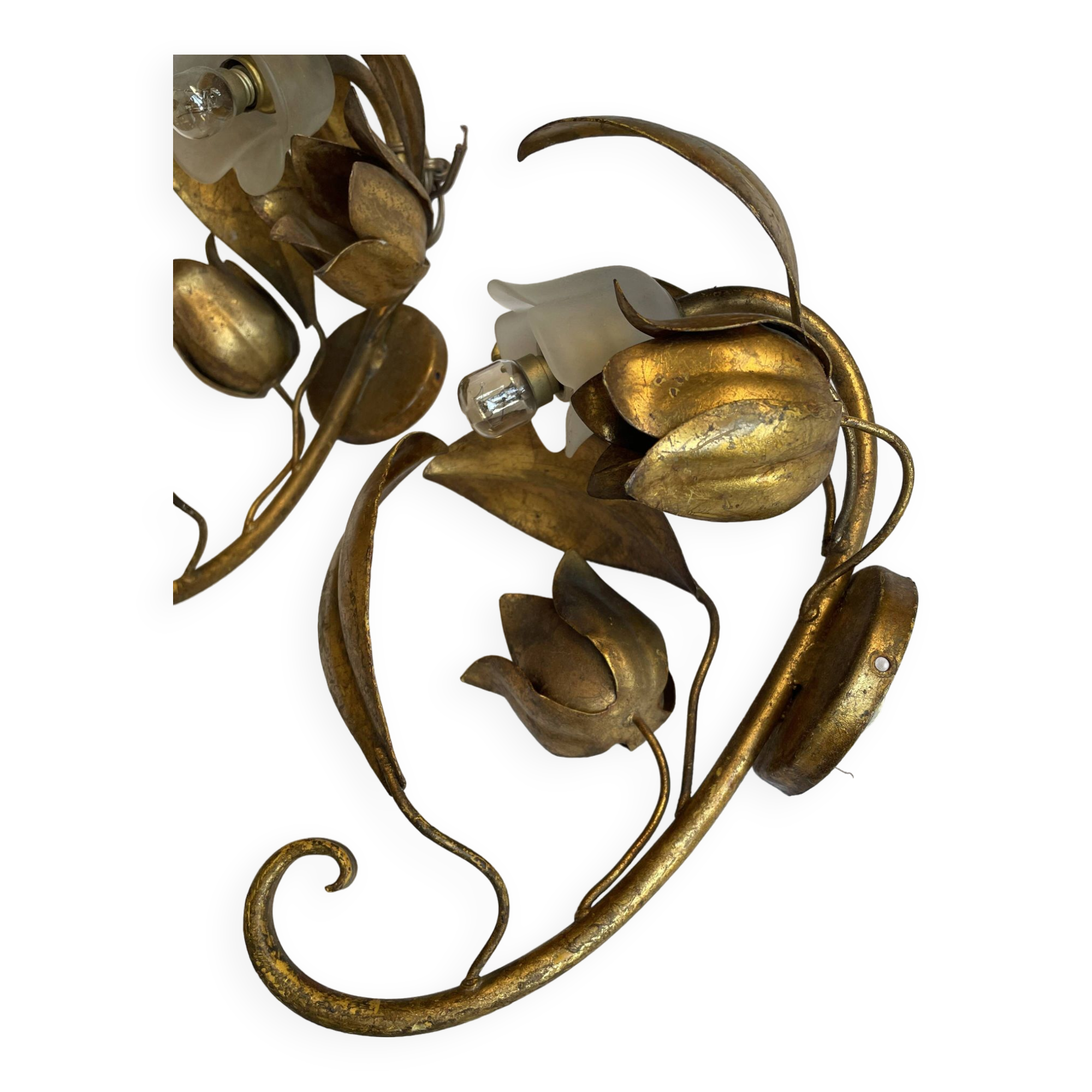 Pair of golden flower wall lights - 20th century