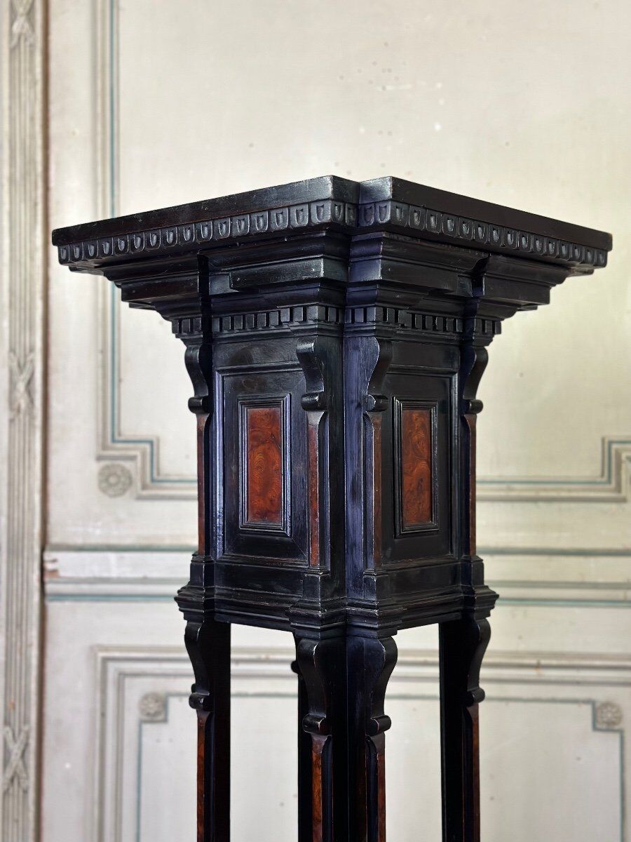 A pedestal table in blackened wood and burl veneer, superb assembly of moldings circa 1880