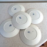 5 flat plates iron earth