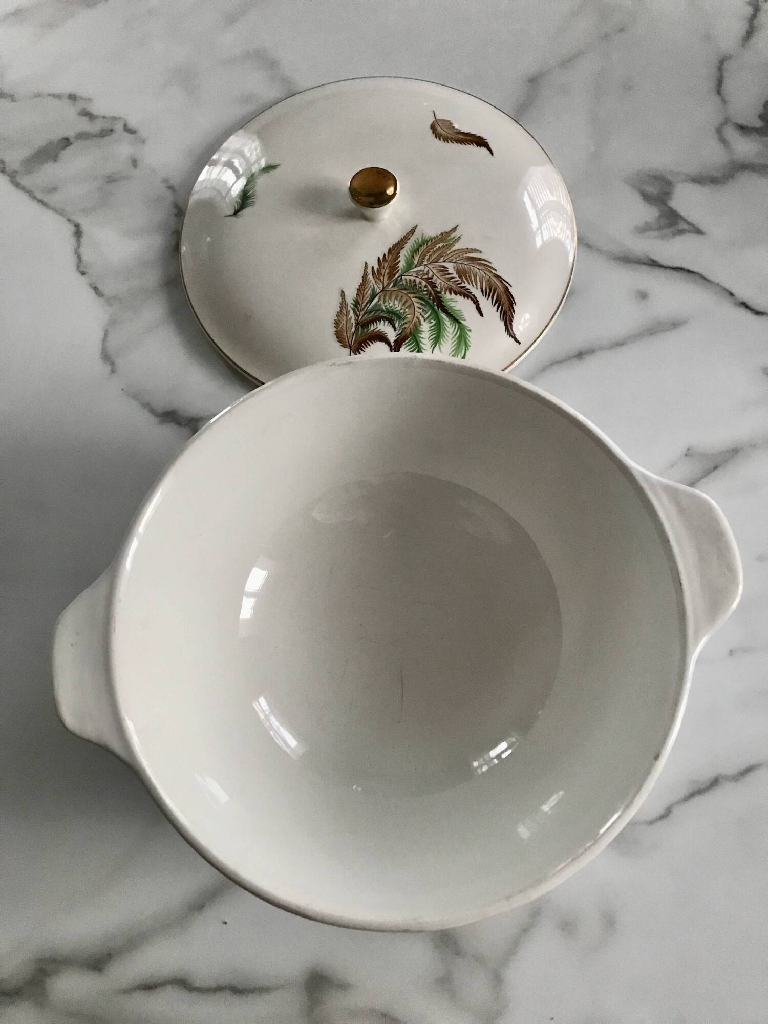 Very pretty vintage Digoin Sarreguemines fern soup tureen