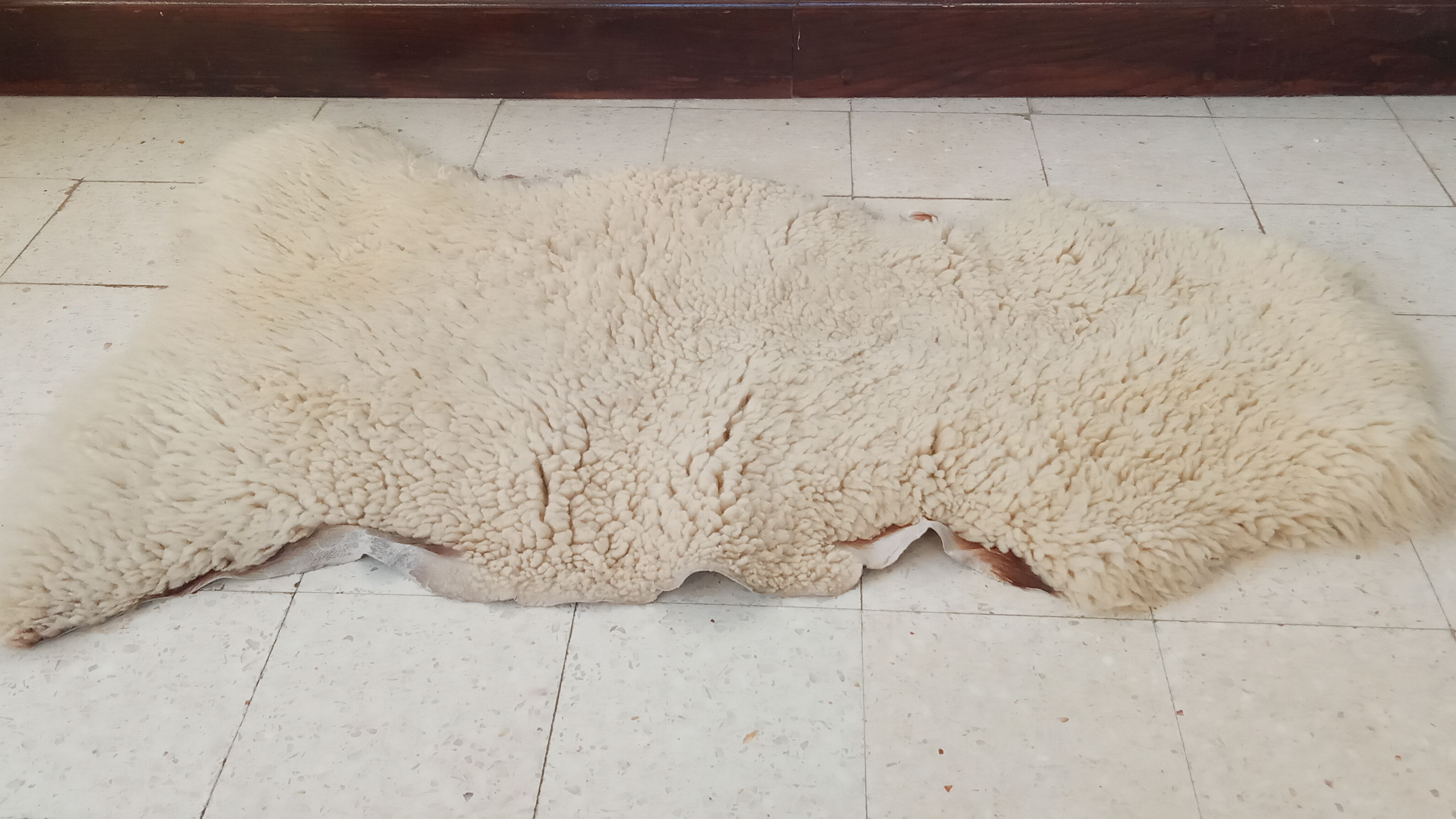 White sheepskin 109×76 cm