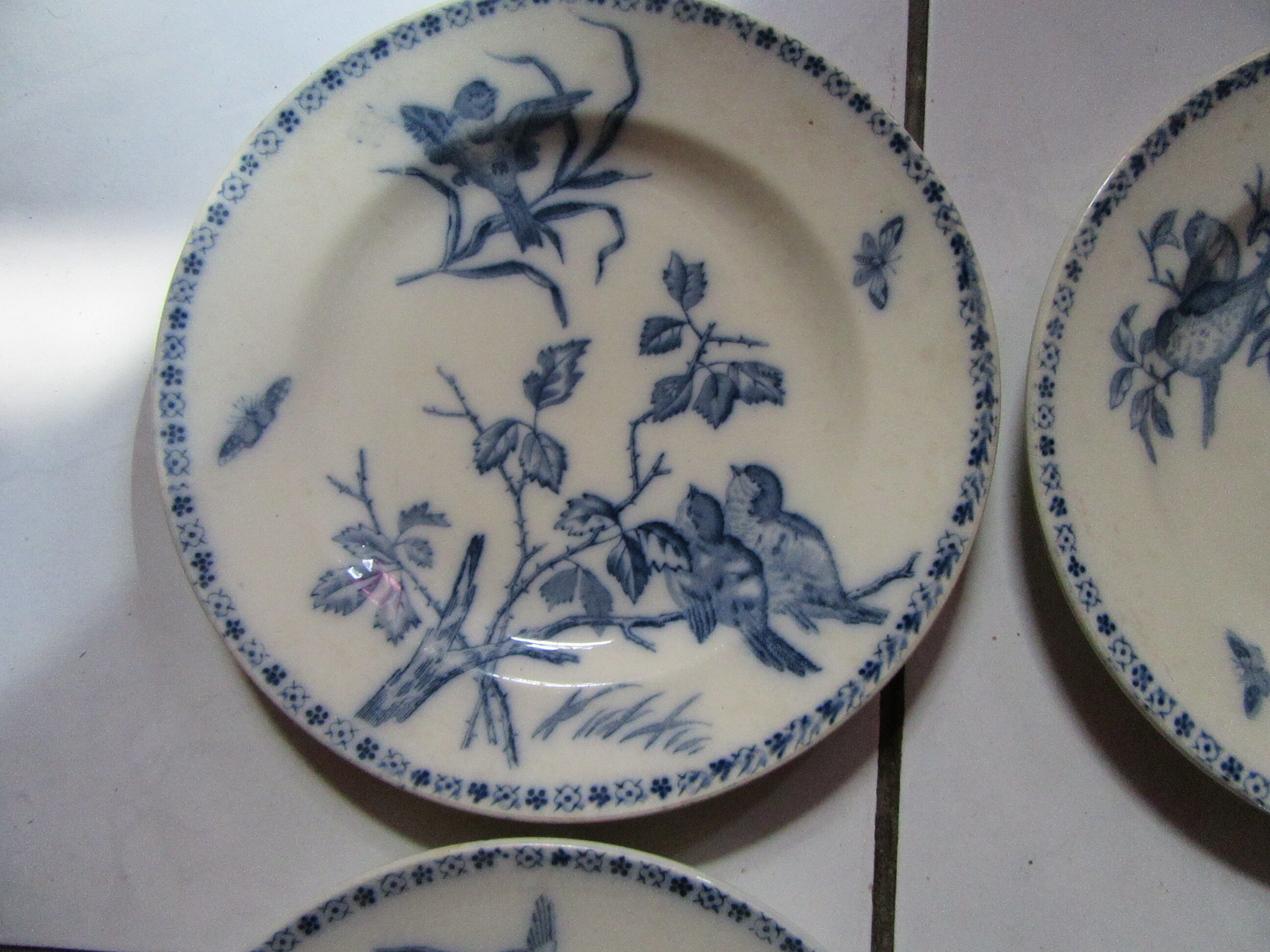 Plates earth fire batch of 6 birds vintage decorations