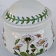 Sugar earthenware Portmeirion made in England décor Botanic Garden