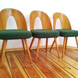 Set of chairs designed by A.Suman, Czechoslovakia, the 60s