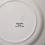 Soup plate of the earthenware factory of Salins model Cyclamen, iron earth