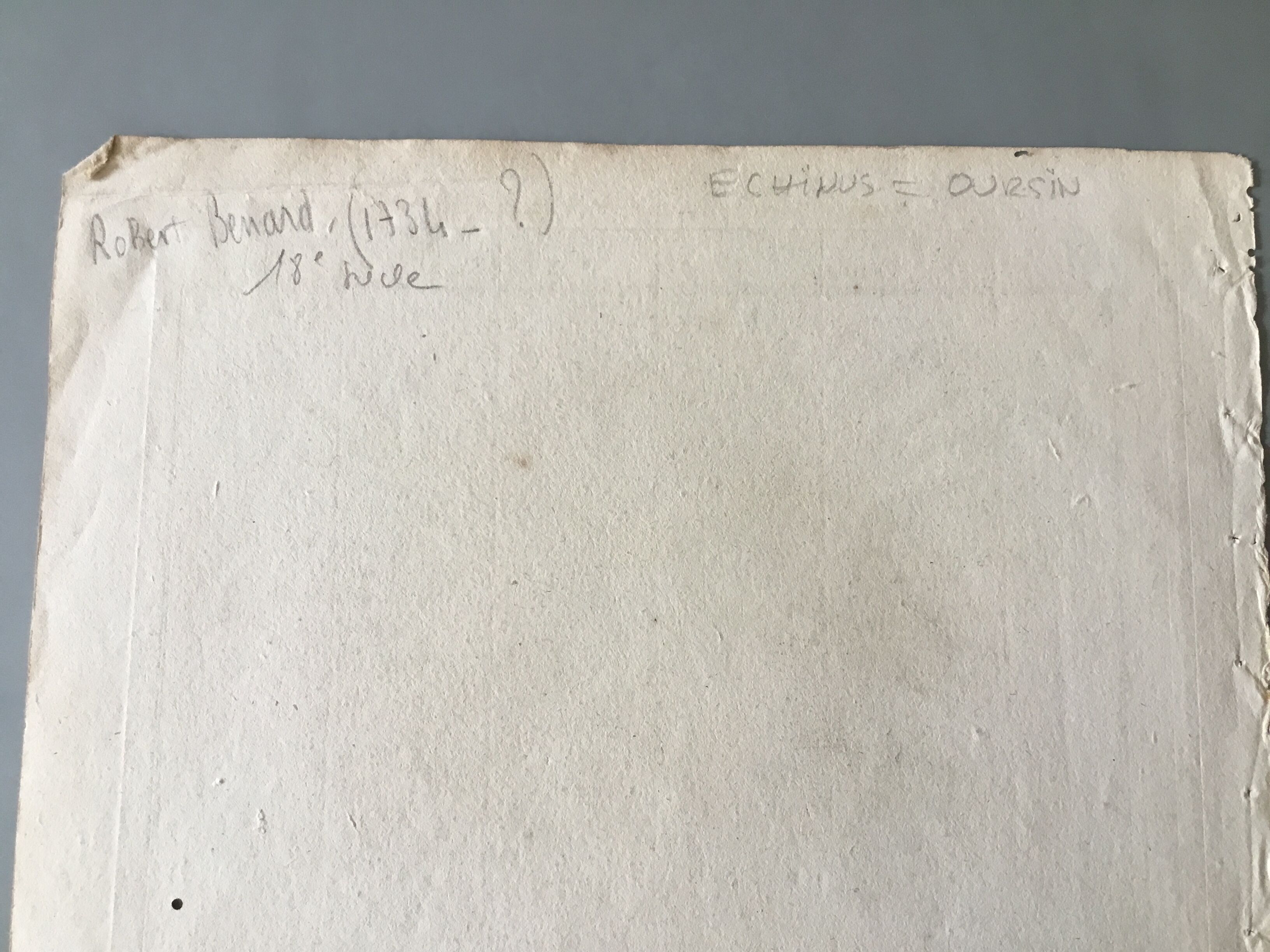 Lots of 4 old engravings, Natural History, Botany