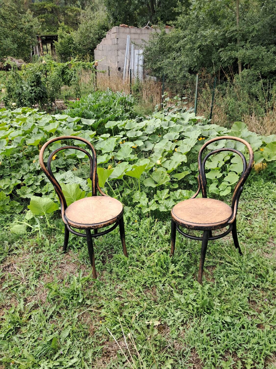 Pair of bistro-style chairs