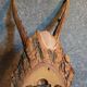 Duo of vintage hunting trophies Art-populaire 50s