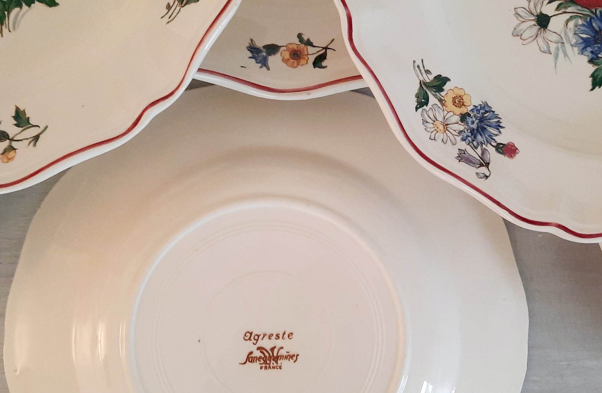 Hollow plates in earthenware Sarreguemines Model "Agreste" Vintage