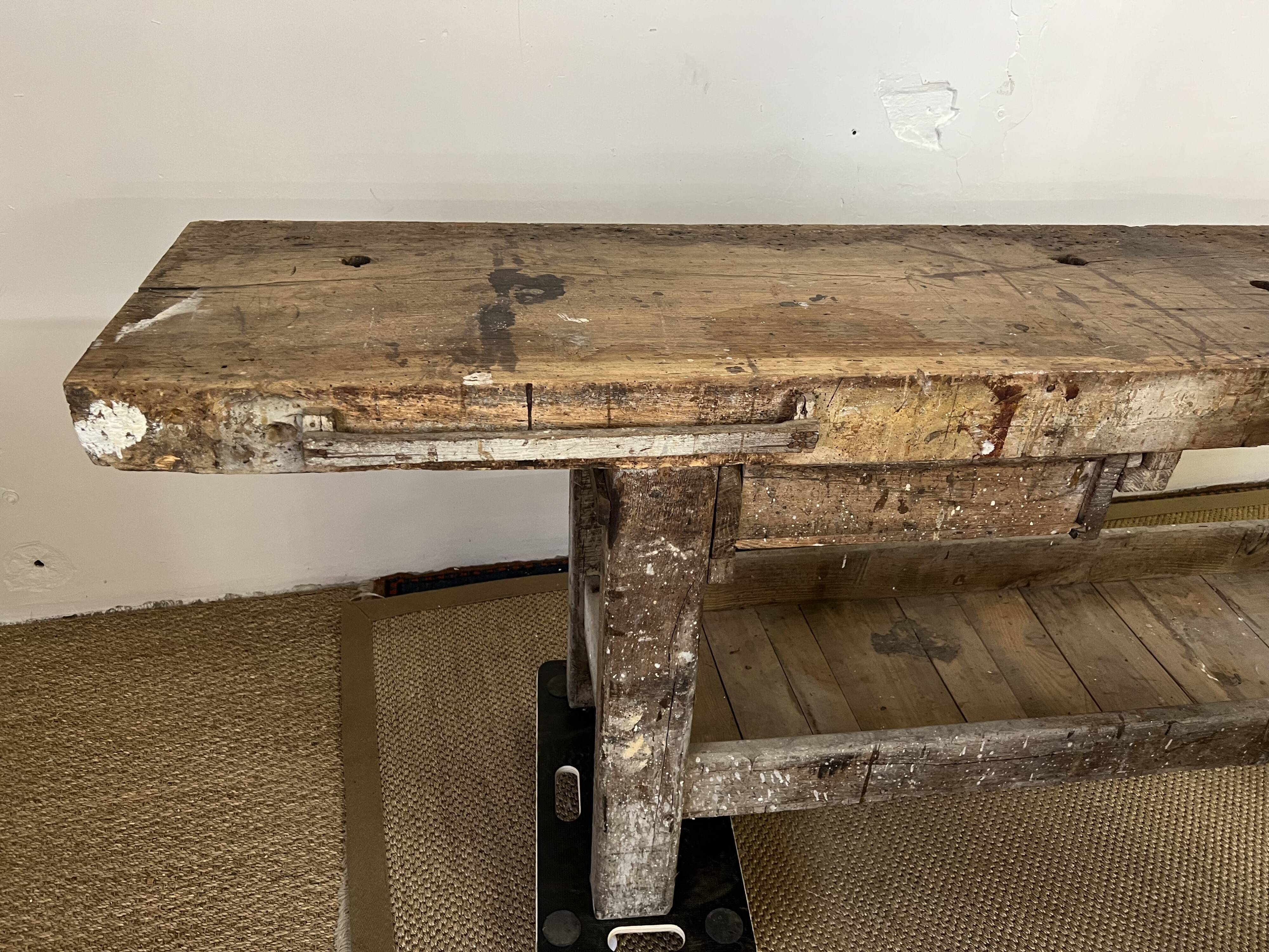 Established in old wood