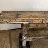 Established in old wood