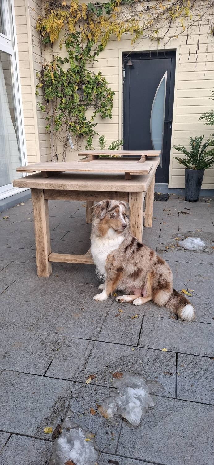 Farmhouse table with oak extensions 3m