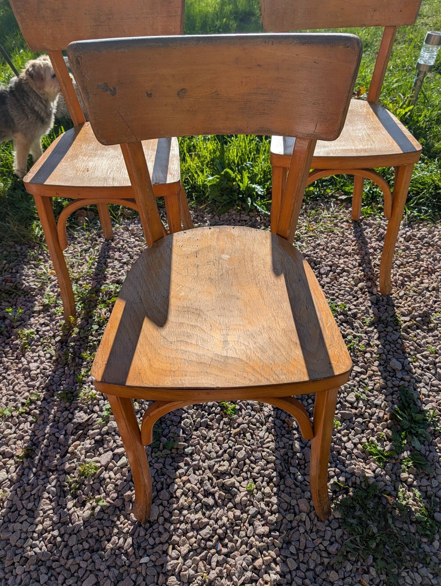 Bistro chairs