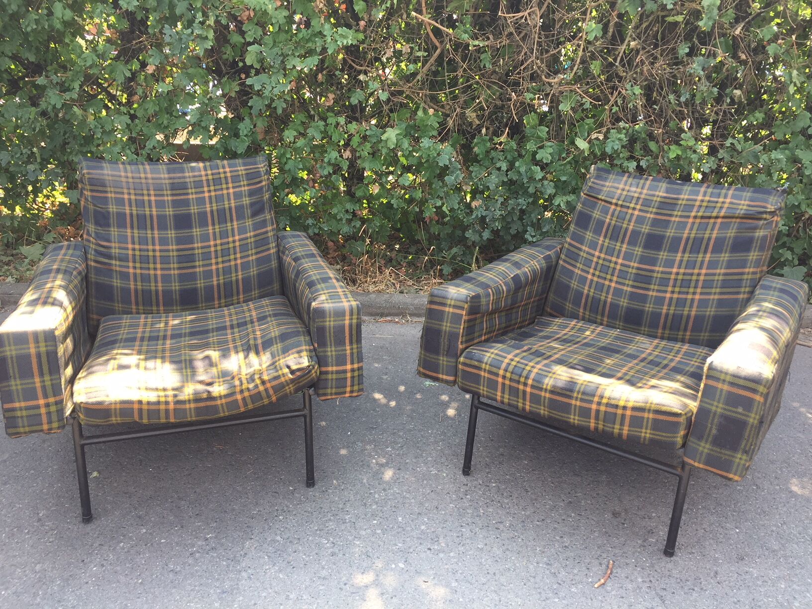 Pair of armchairs G10, Pierre Guariche for Airborne