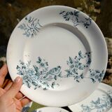 Mignon plates in Longwy earthenware