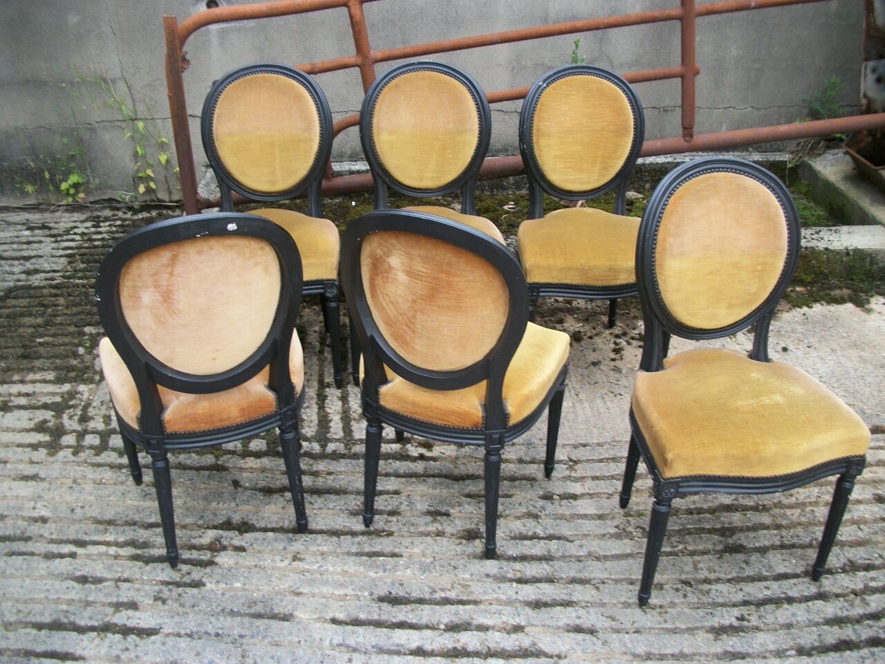 Series of 6 LXVI style chairs