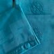 12 serviettes anciennes émeraudes damassées monogrammées "PH" - fils de lin - 54x52 cm