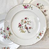 8 flat plates in Céranord porcelain, bird of paradise motif, "Regence" model