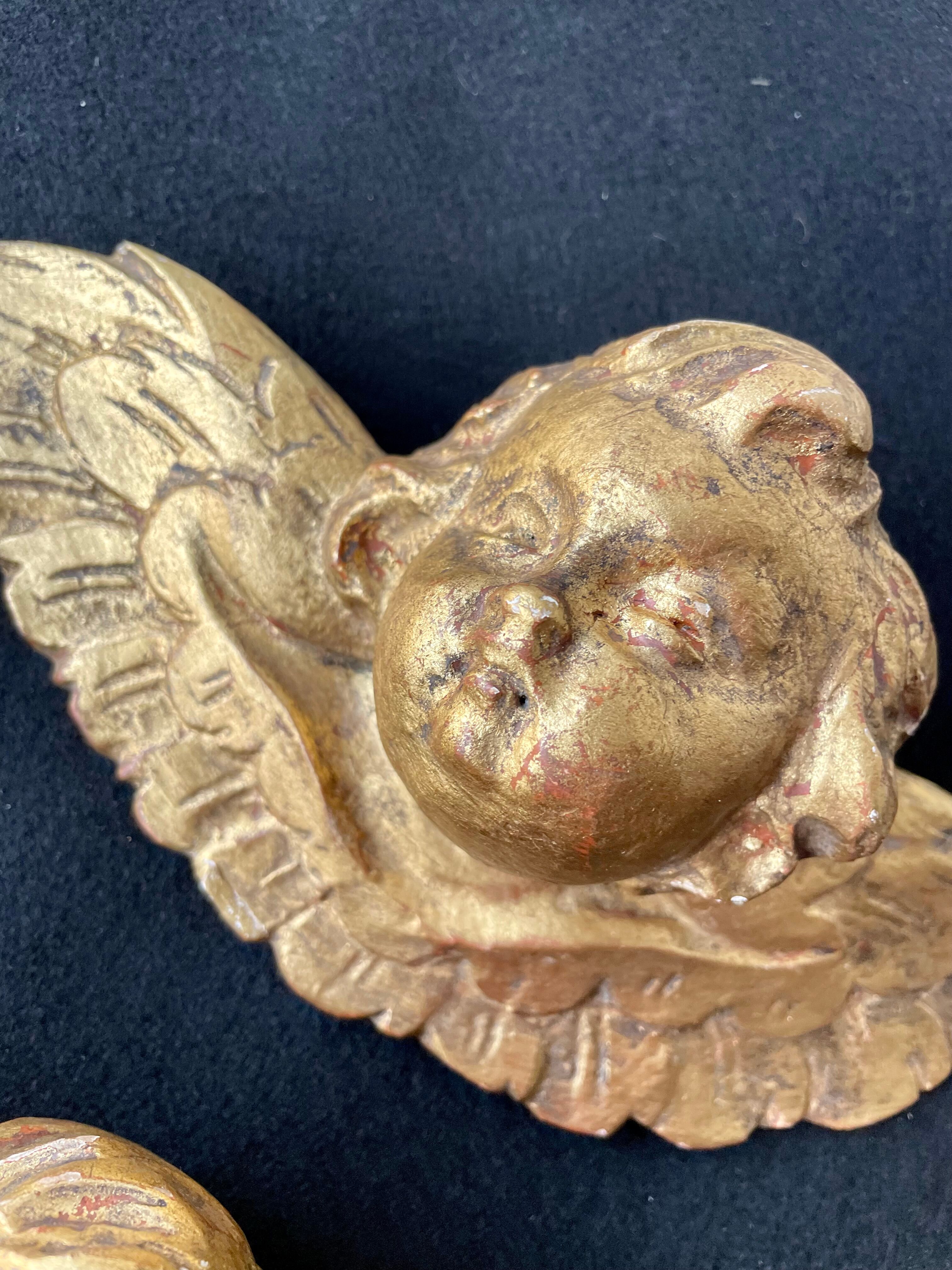 Pair of angels in gilded wood