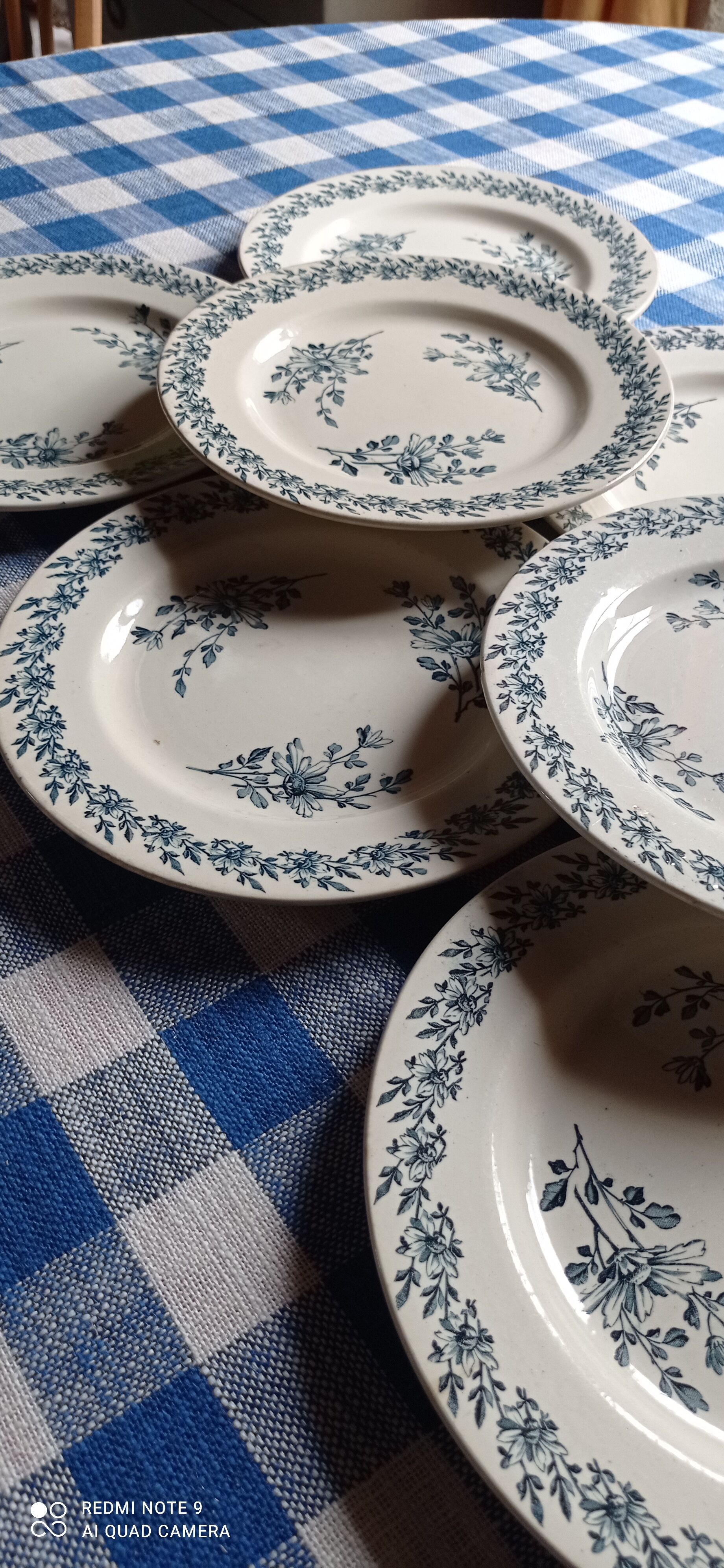 Set of eight plates earth of iron