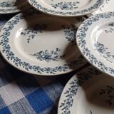 Set of eight plates earth of iron