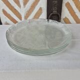 Arcoroc glass plates