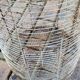 High old bird cage