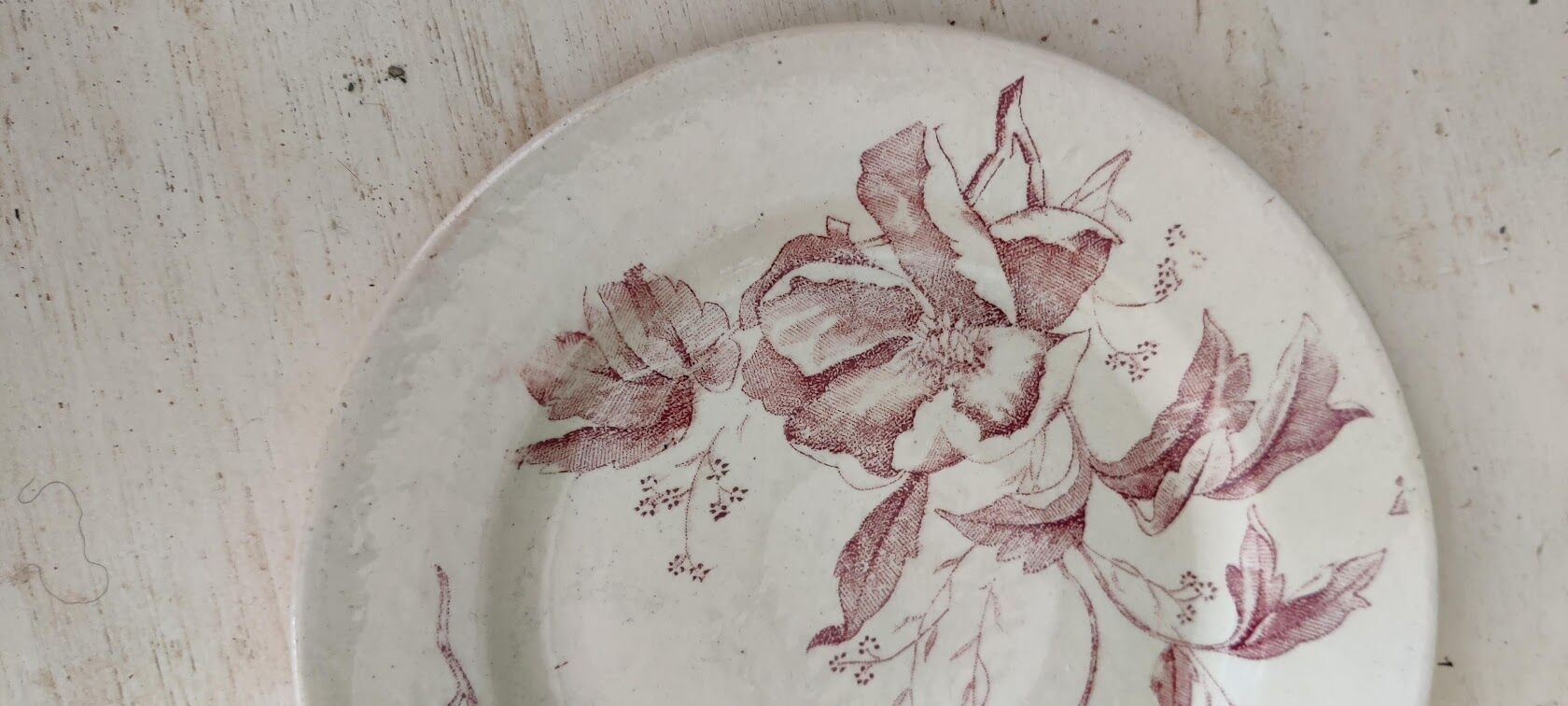 Flat plate iron earth / Christmas rose
