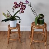 Pair of honey-colored rattan stools/plant holders in the 60s