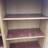 1950s showcase library