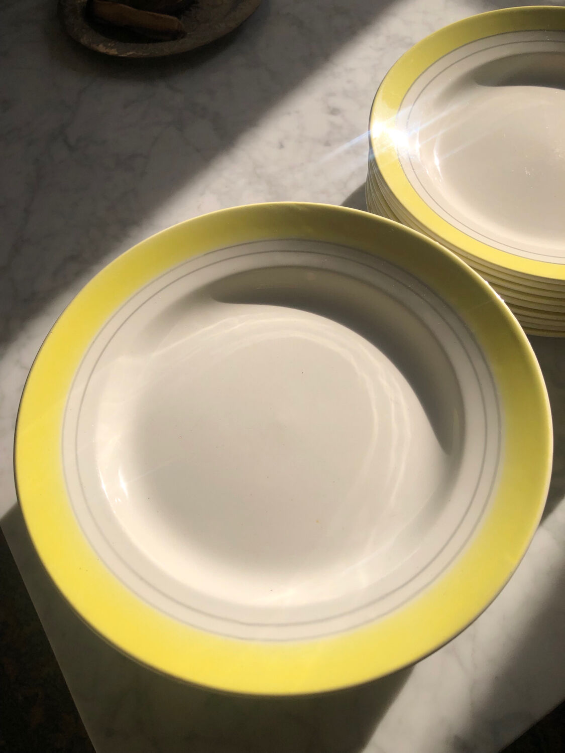 Vintage Primefleur Françoise plates