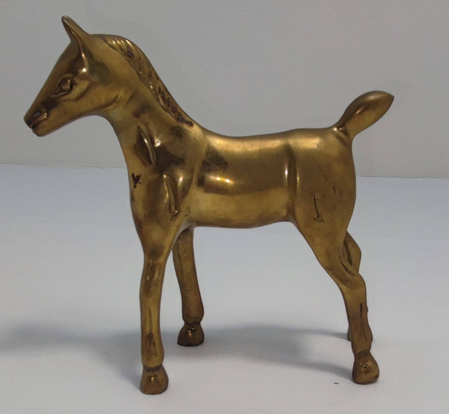 Brass foal