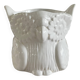 Vintage Italy Owl Vase