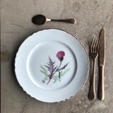 Series of 6 vintage plates