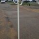 Parrot hangs coat desing