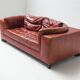 Vintage Osaka loveseat in oxblood leather by Natuzzi Italy