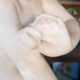 Large 19th century marble sculpture