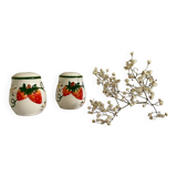 Salière et poivrière en céramique fraise vintage