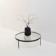Round G4 Coffee Table by Janni Van Pelt, 1956 The Netherlands