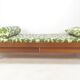Mid century teak daybed, 1960s