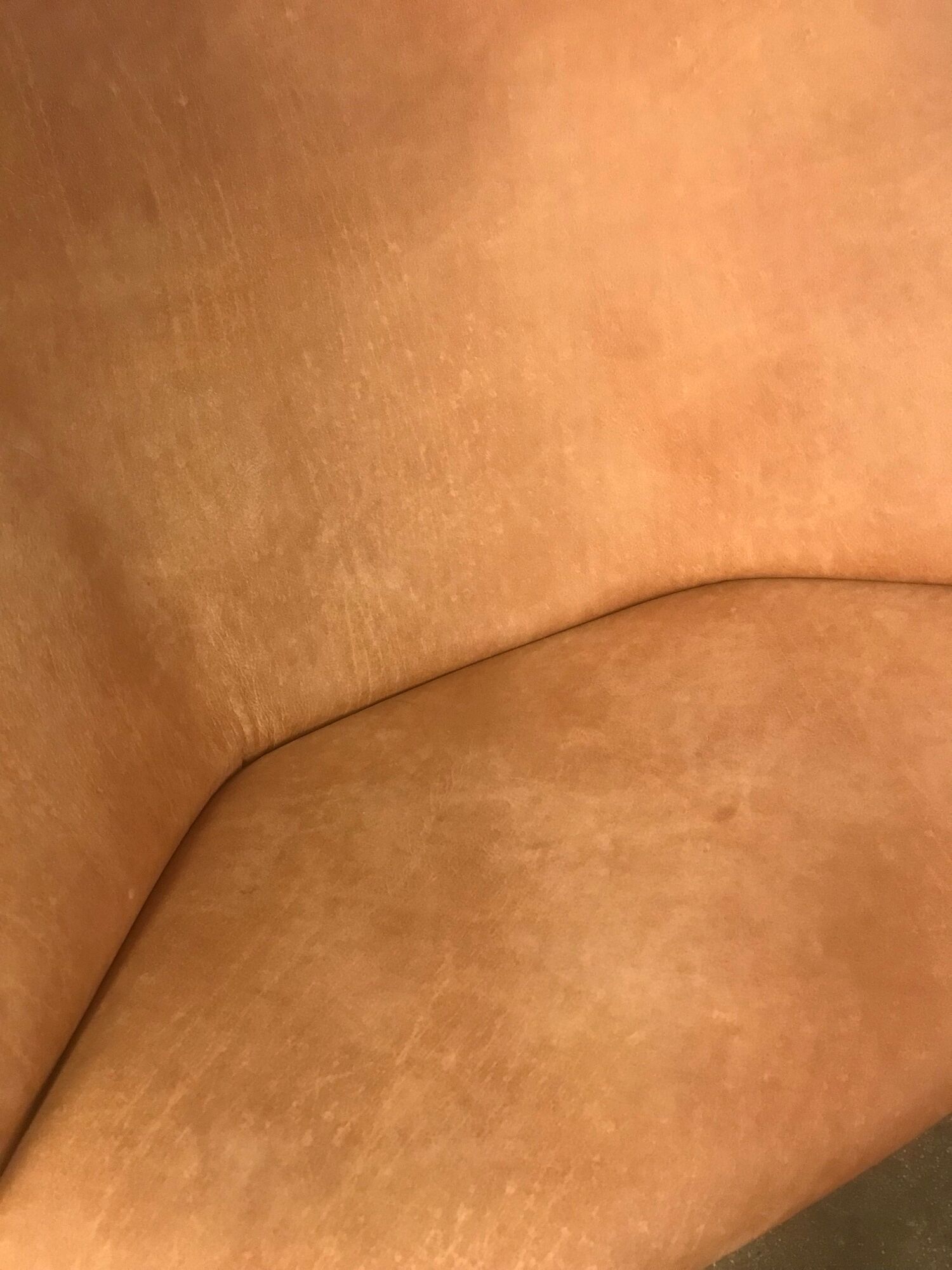 Fauteuil Oyster de Pierre Paulin chez Artifort