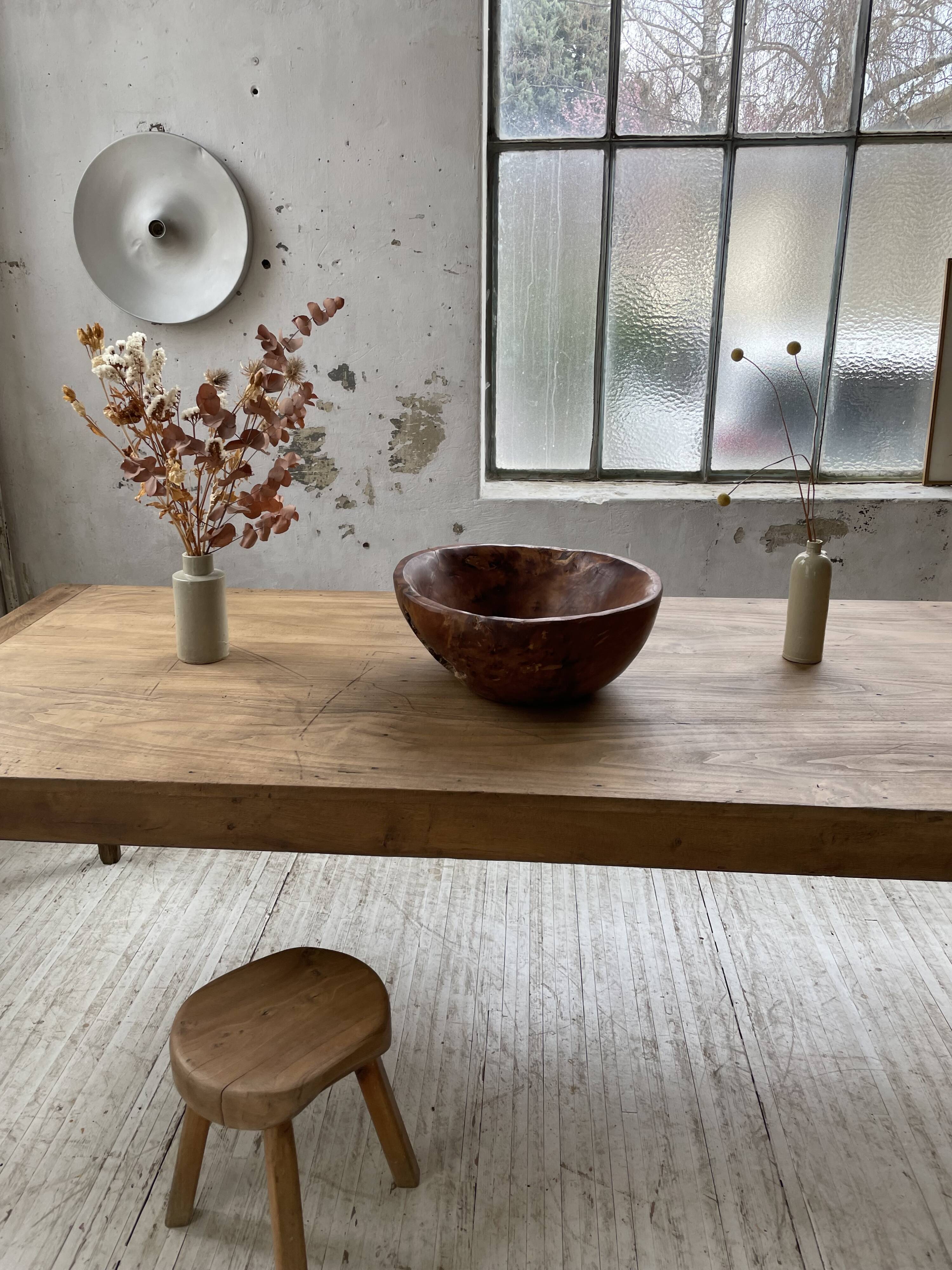 XL thuja root wooden dish