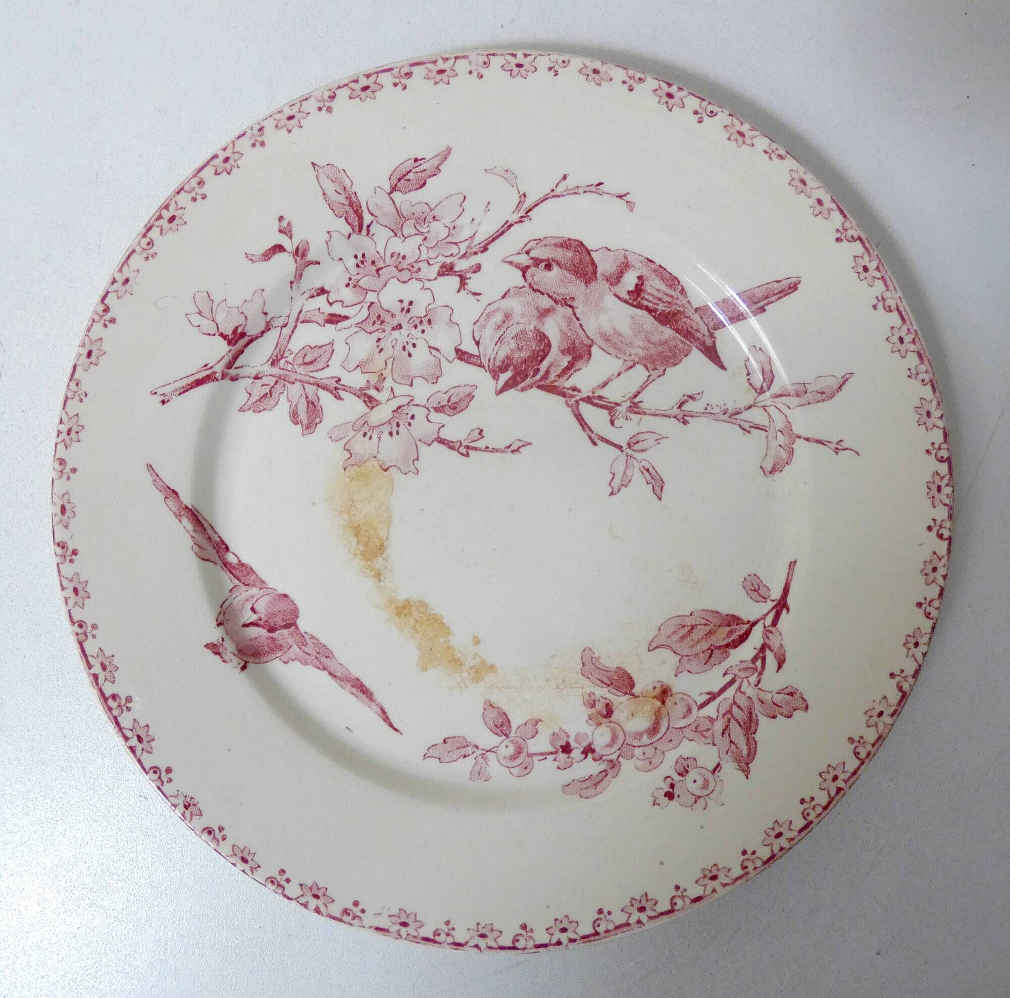 Terre de fer Digoin Sarreguemines 6 flat plates FAVORI birds model