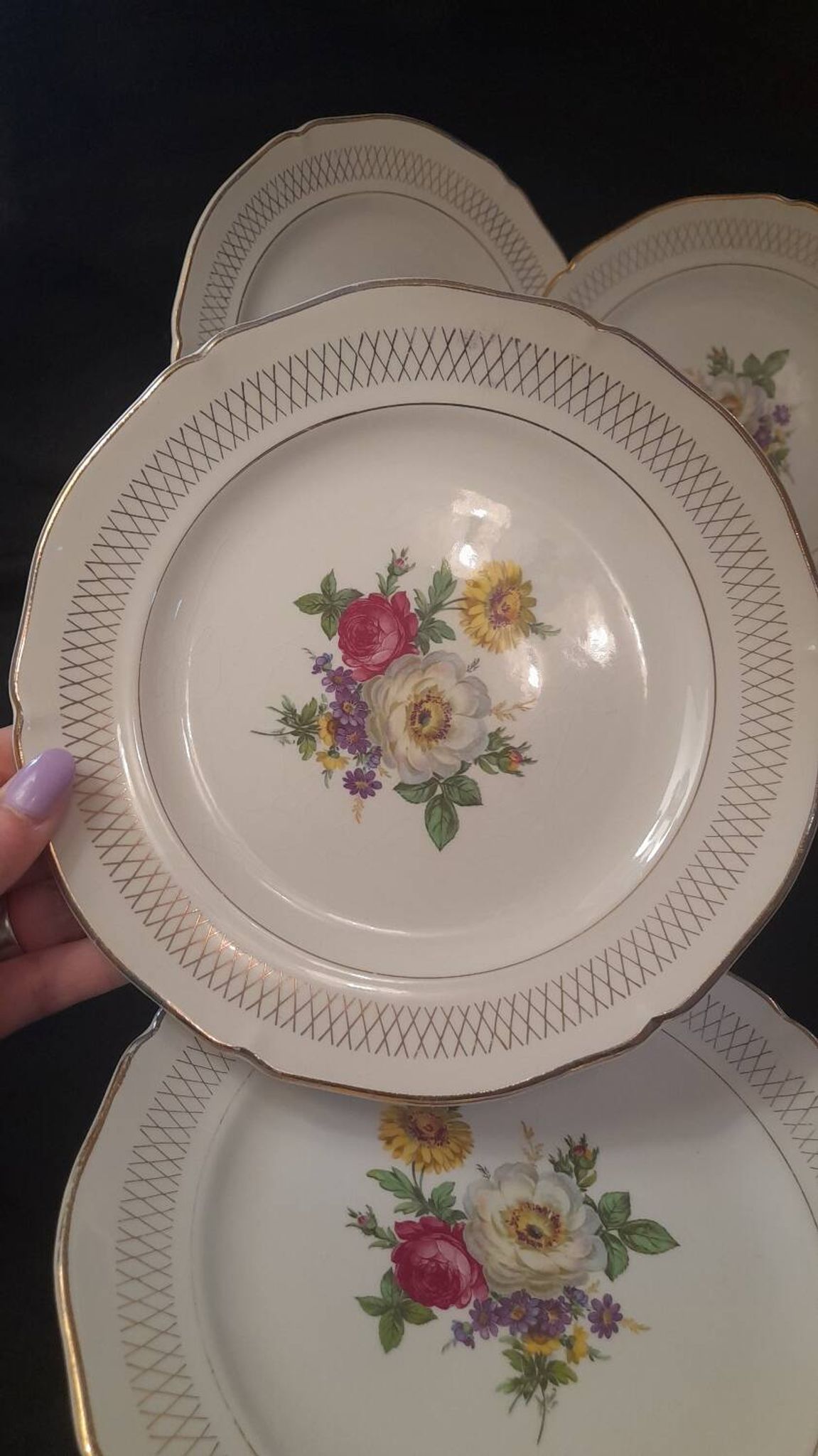 Set of 11 Ceranor St Amand Semi Vitrified Sapho plates
