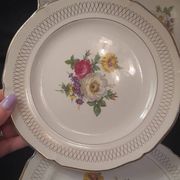 Set of 11 Ceranor St Amand Semi Vitrified Sapho plates