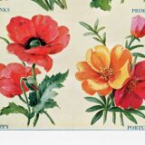 Poster featuring carnations, primroses, poppies, and purslane
