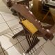 Fauteuil curule en bois